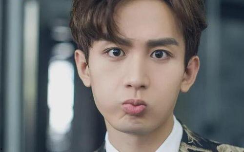 成毅张予曦最新爆料,揭秘幕后故事与情感纠葛